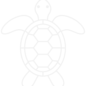 Turtle Award